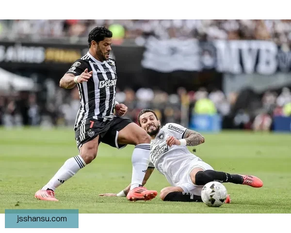 博塔弗戈对阵科林蒂安焦点之战揭示南美足球新格局激情碰撞与荣耀之夜